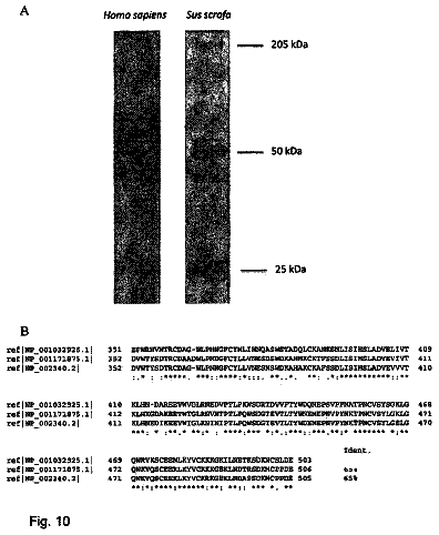 Drawing sheet 8 of US 9,951,135 B2