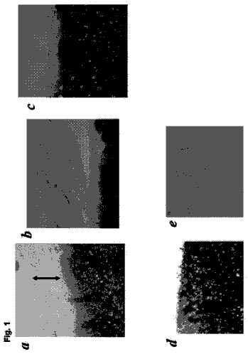 Drawing from US 9,951,312 B2