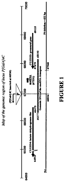 Drawing from US 9,951,332 B2