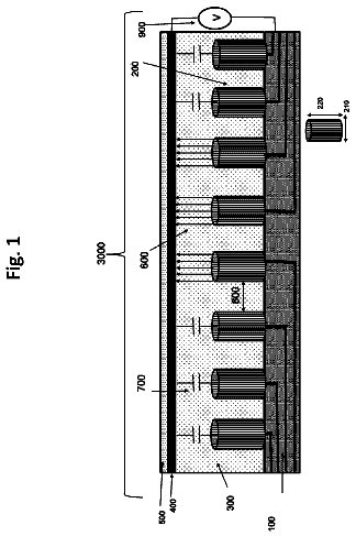 Drawing sheet 1 of US 9,953,202 B2