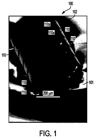 Drawing sheet 1 of US 9,955,575 B1