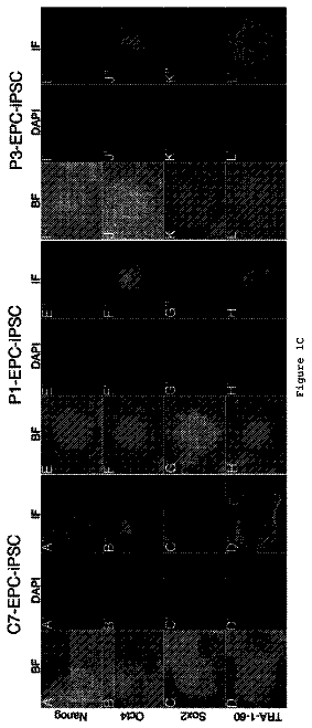 Drawing sheet 3 of US 9,963,681 B2