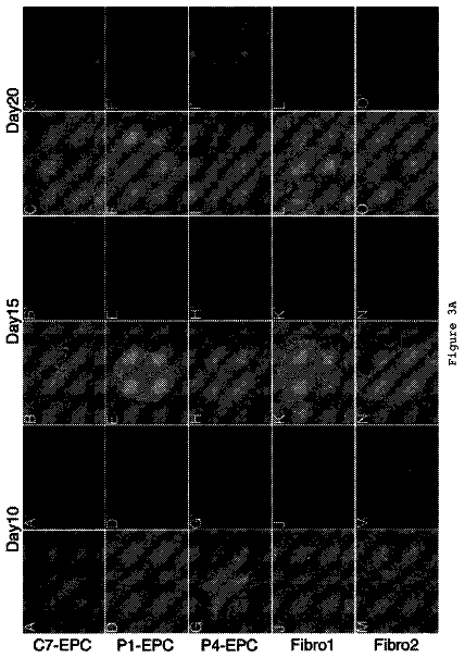 Drawing sheet 5 of US 9,963,681 B2