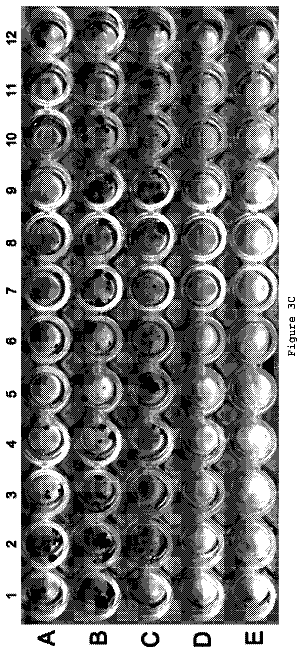 Drawing sheet 7 of US 9,963,681 B2
