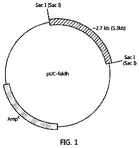 Drawing sheet 1 of US 9,963,684 B2