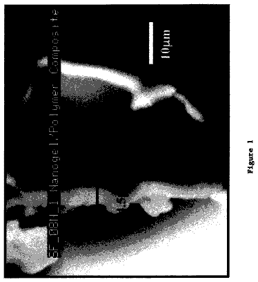 Drawing from US 9,969,856 B2