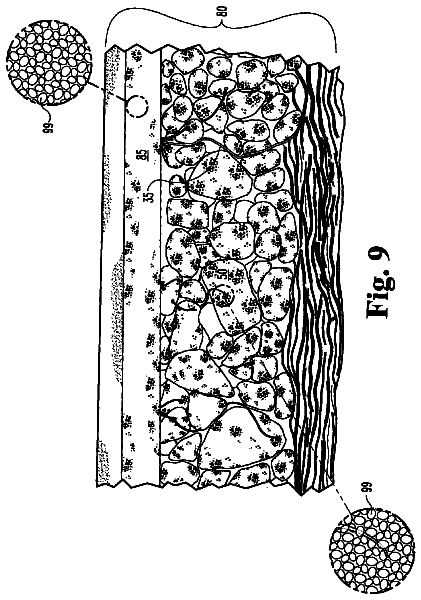 Drawing sheet 8 of US 9,974,249 B2
