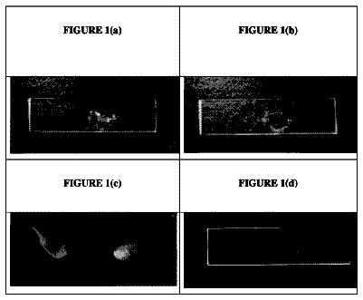 Drawing from US 9,975,101 B2