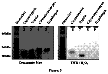 Drawing sheet 5 of US 9,975,913 B2