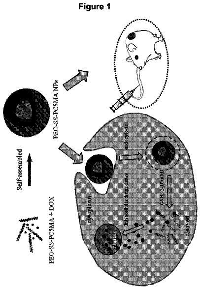 Drawing from US 9,975,983 B2