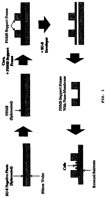 Drawing from US 9,976,113 B2