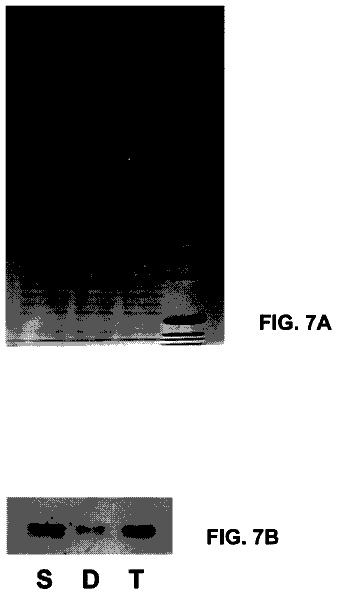 Drawing sheet 4 of US 9,981,064 B2