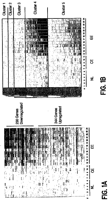 Drawing sheet 1 of US 9,982,303 B2
