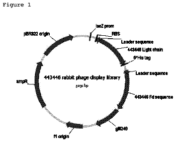 Drawing from US 9,995,753 B2